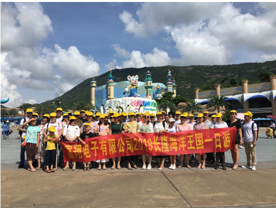 2019年全体员工海洋王国一日游